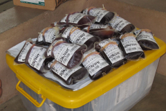 IMG-20260423-WA0034